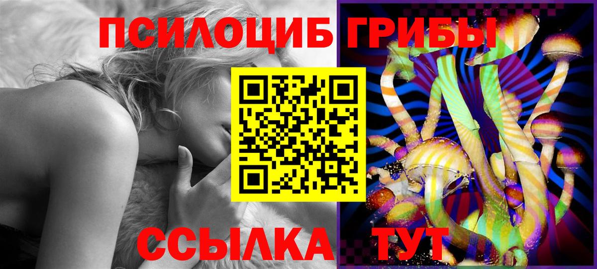 Псилоцибиновые грибы ЛСД  Галлюциногенные грибы MAGIC MUSHROOMS  Йошкар-Ола  цена наркотик  Вход с VPN 