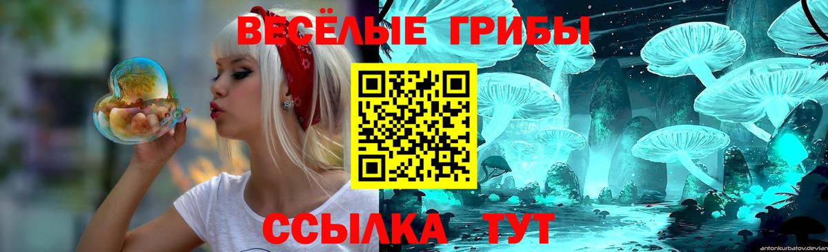 Галлюциногенные грибы мухоморы Йошкар-Ола